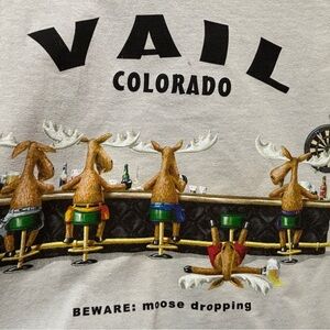 Ski Wear Tee -VAIL Co